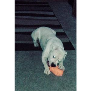 Meet your Posher, Bryan